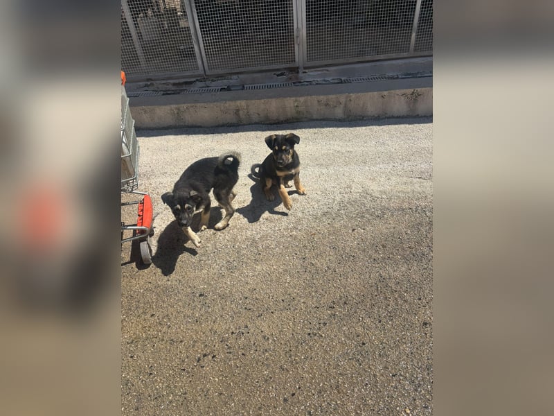 ZITO & RUDY - Wer gibt ihnen eine Zukunft?
