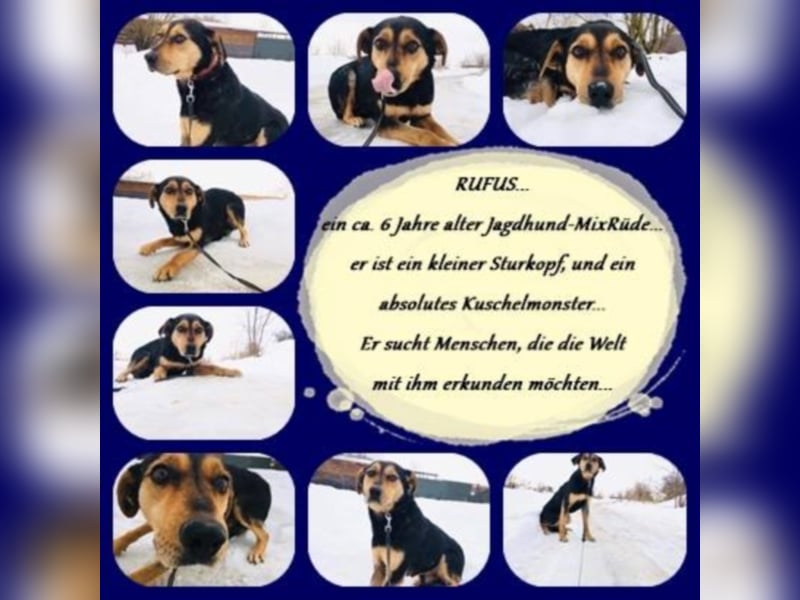 Rufus