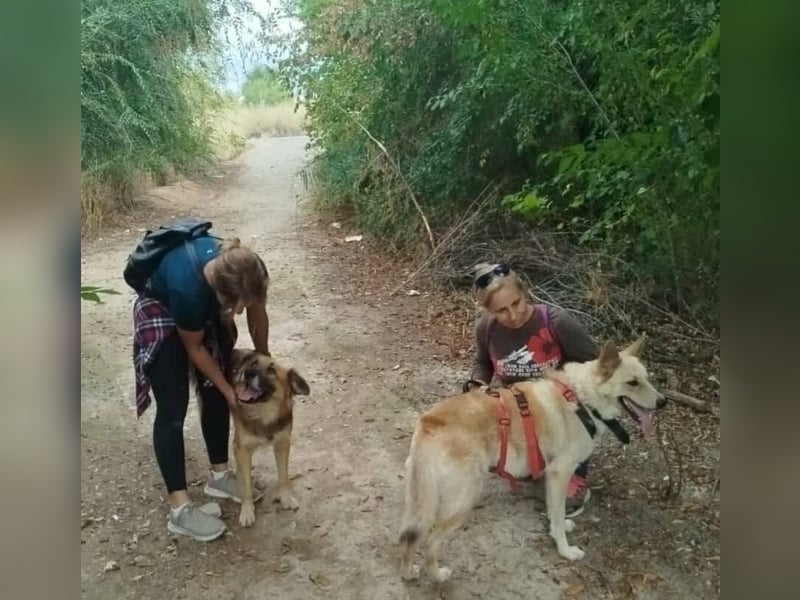 MATEA