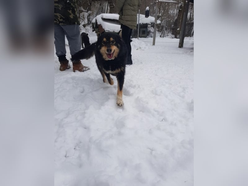 Berta sucht ein Zuhause.