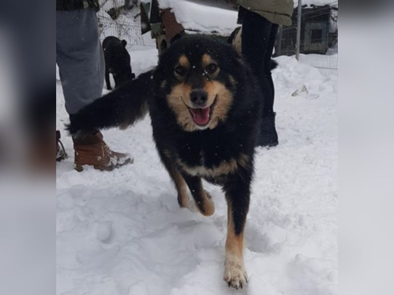 Berta sucht ein Zuhause.