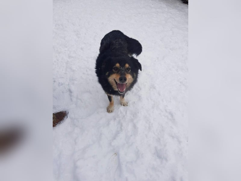 Berta sucht ein Zuhause.