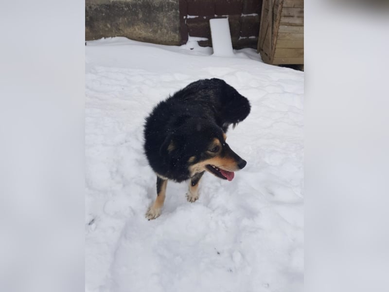 Berta sucht ein Zuhause.