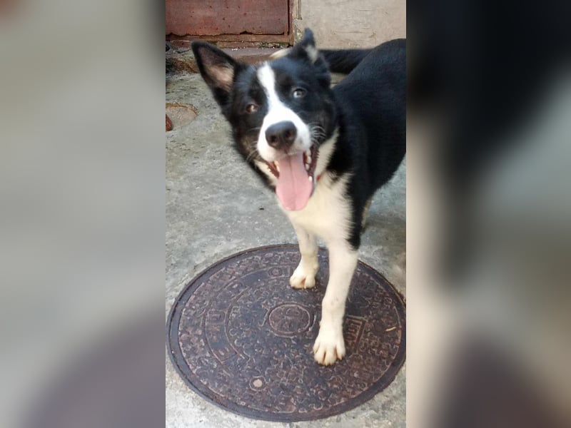 LOKI - ist bereit für Abenteuer