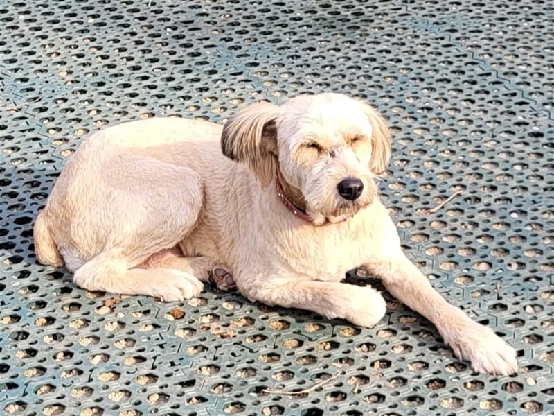 SANDRA - wo findet sie ihr Glück?