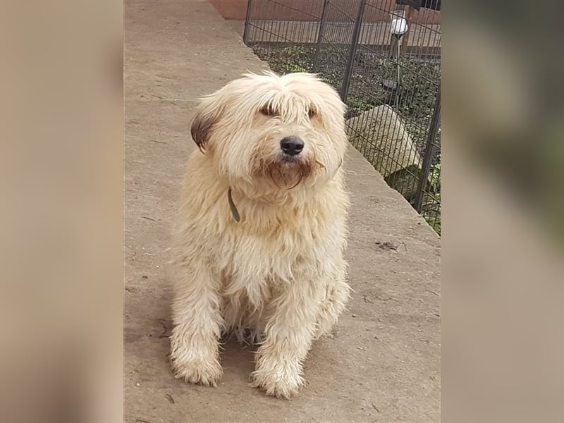 SANDRA - wo findet sie ihr Glück?