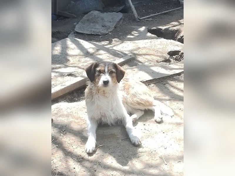 MILLY - ist bereit für ihr Abenteuer