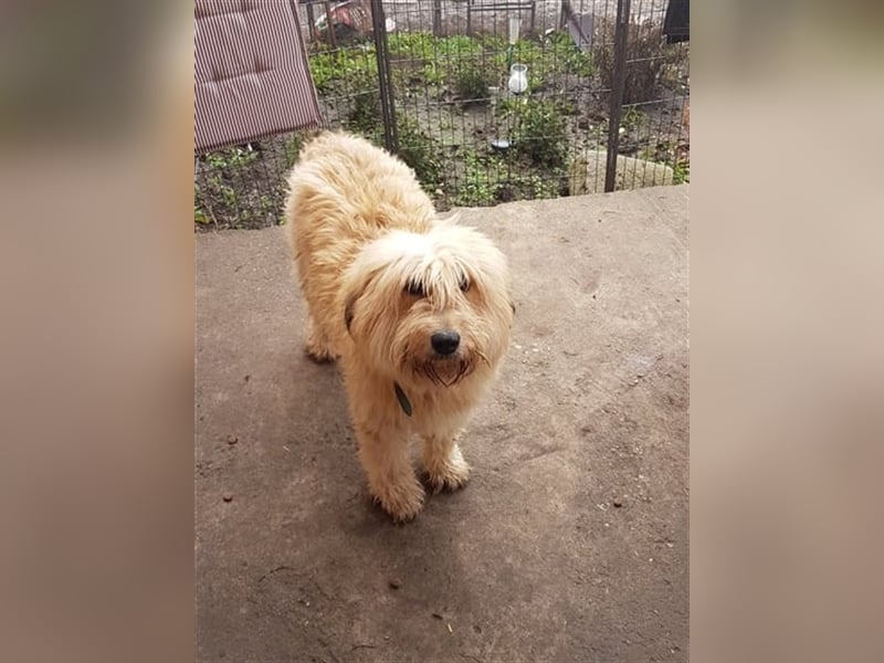 SANDRA - wo findet sie ihr Glück?