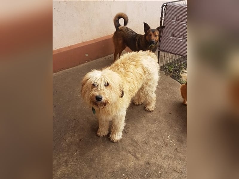 SANDRA - wo findet sie ihr Glück?