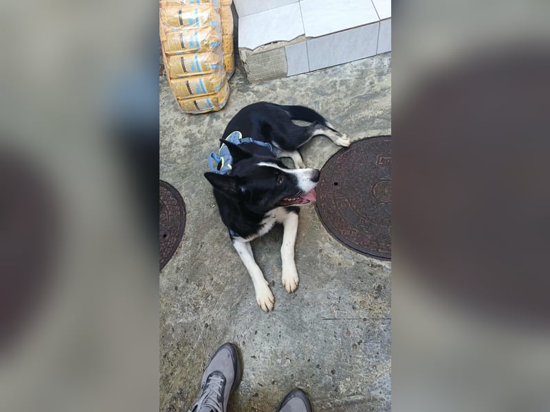 LOKI - ist bereit für Abenteuer