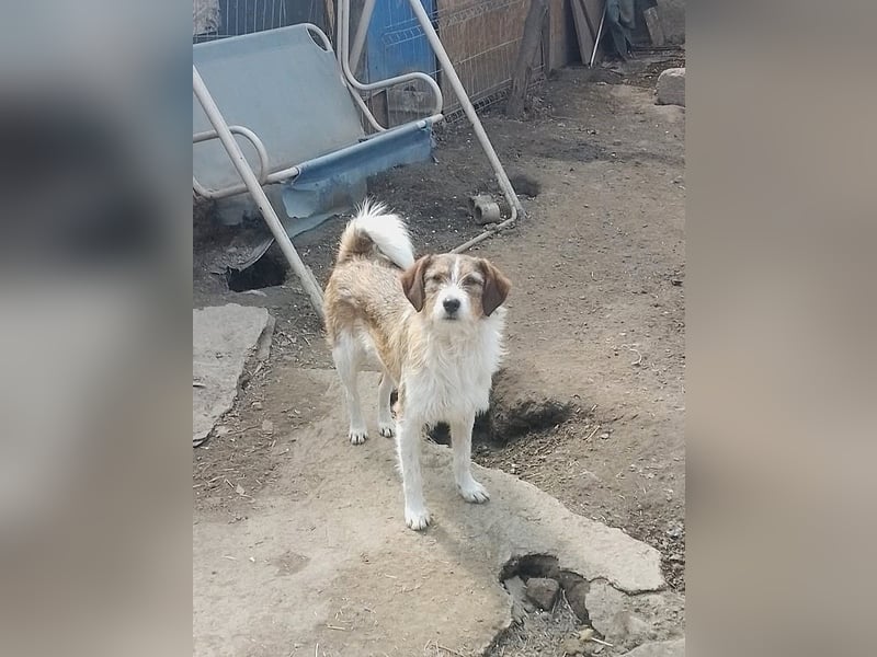 MILLY - ist bereit für ihr Abenteuer