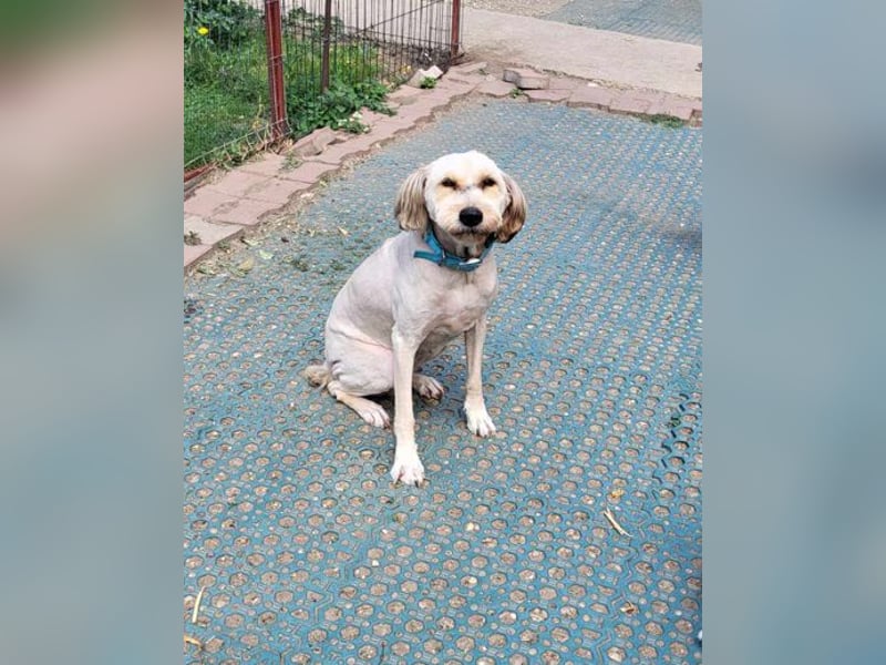 SANDRA - wo findet sie ihr Glück?