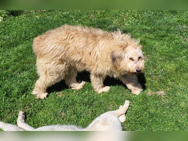 SANDRA - wo findet sie ihr Glück?