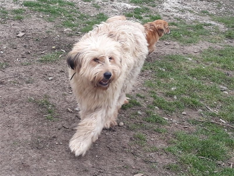 SANDRA - wo findet sie ihr Glück?