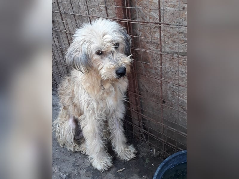 SANDRA - wo findet sie ihr Glück?