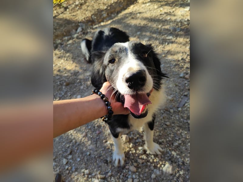 RON - sucht sein Ticket ins Glück