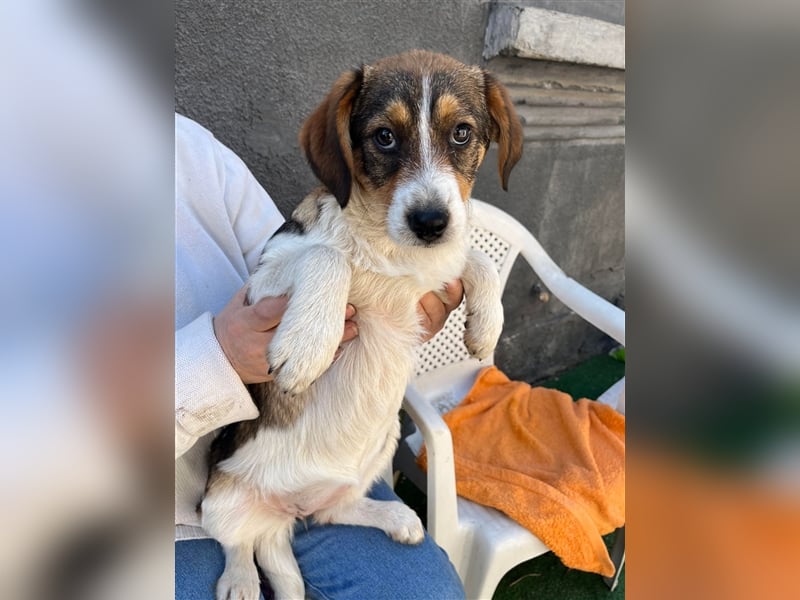 MILLY - ist bereit für ihr Abenteuer