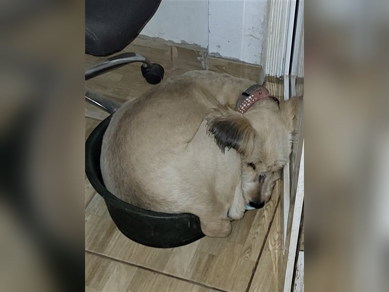 SANDRA - wo findet sie ihr Glück?