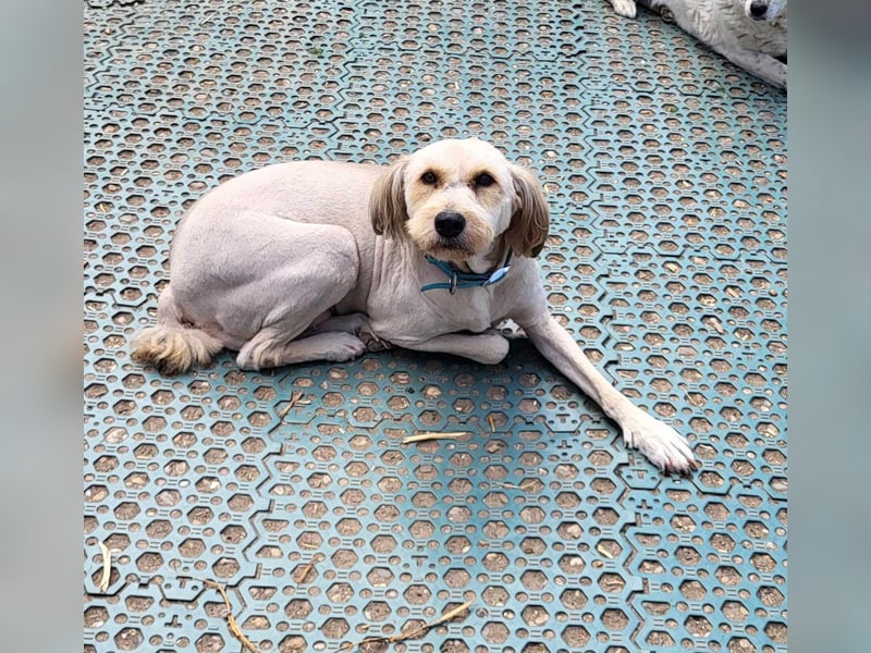 SANDRA - wo findet sie ihr Glück?