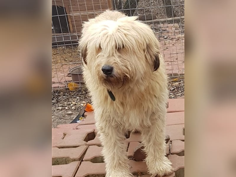 SANDRA - wo findet sie ihr Glück?