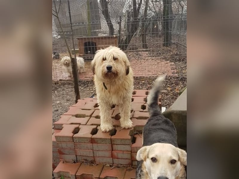 SANDRA - wo findet sie ihr Glück?