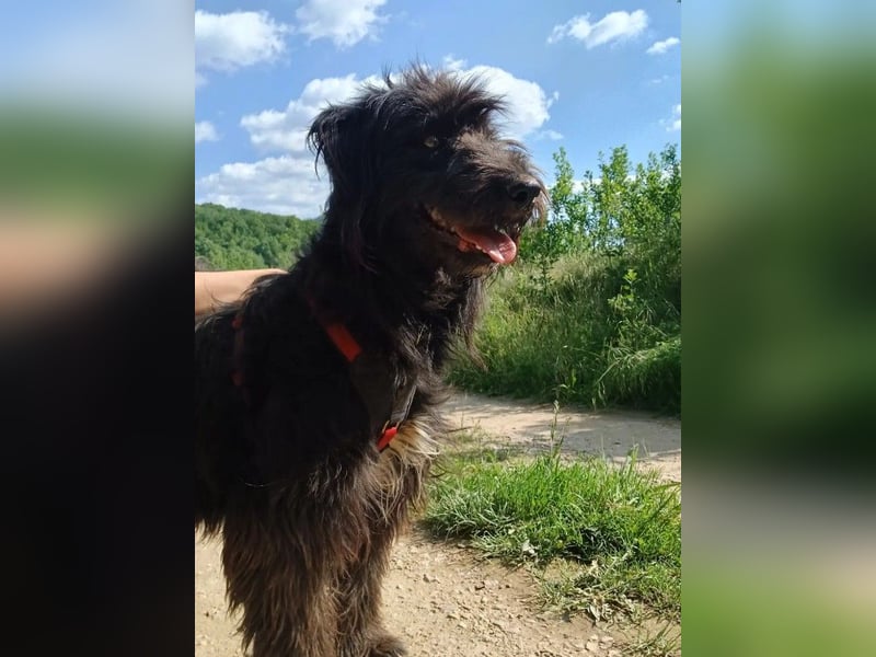 ABBY - wo darf sie glücklich werden?