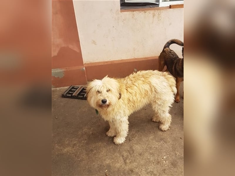 SANDRA - wo findet sie ihr Glück?