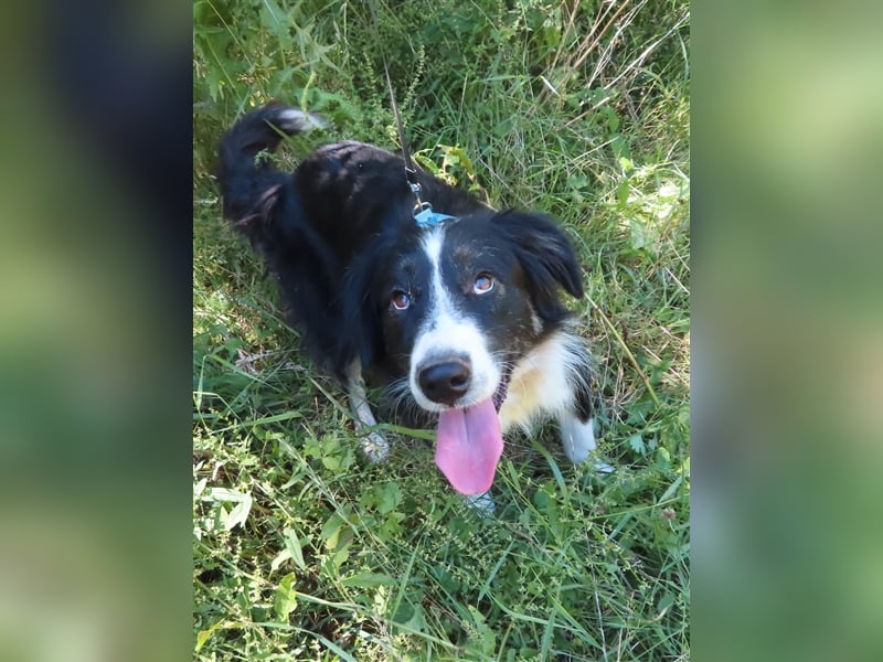 RON - sucht sein Ticket ins Glück