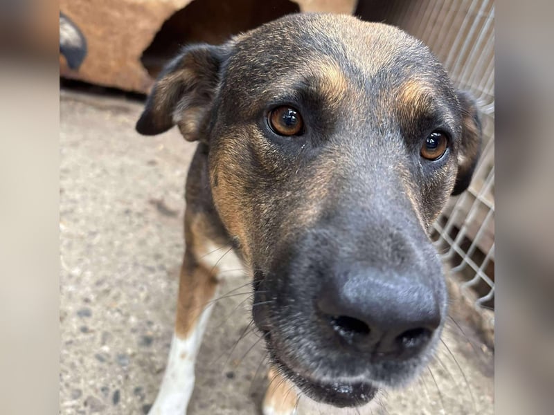 BRUNO - wo darf er glücklich werden?