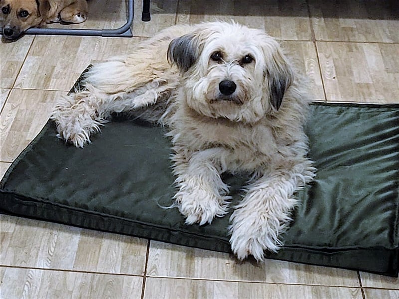 SANDRA - wo findet sie ihr Glück?