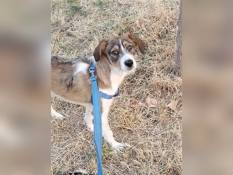 MILLY - ist bereit für ihr Abenteuer