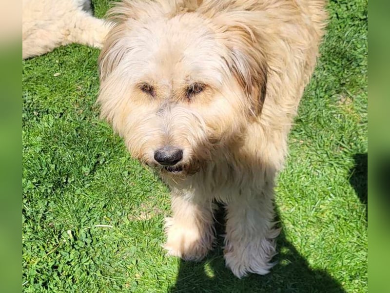 SANDRA - wo findet sie ihr Glück?