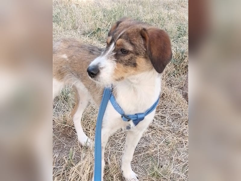 MILLY - ist bereit für ihr Abenteuer