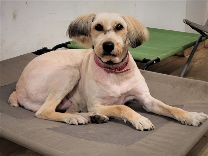 SANDRA - wo findet sie ihr Glück?