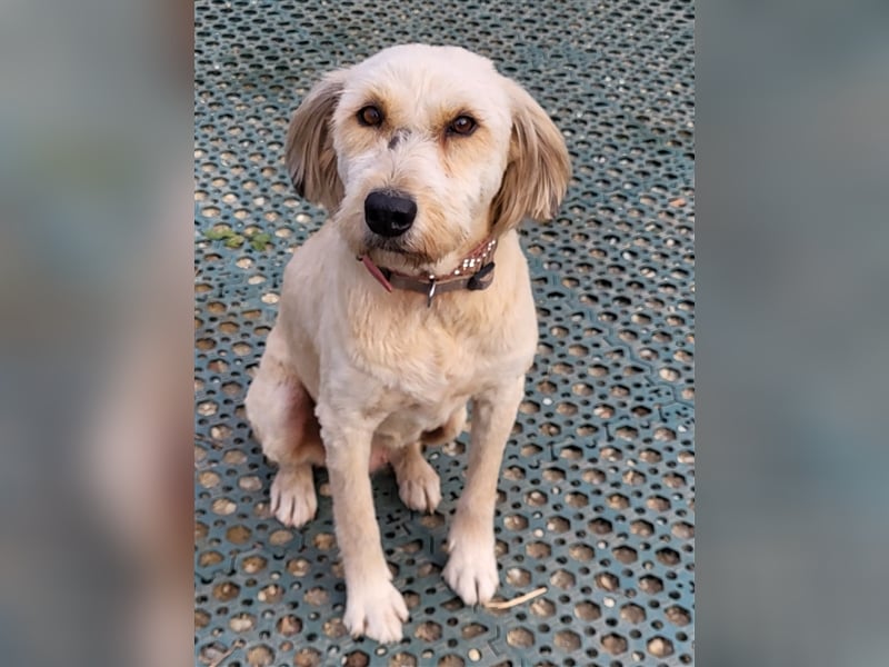 SANDRA - wo findet sie ihr Glück?