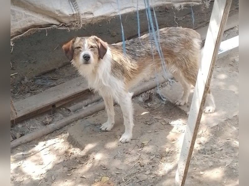 MILLY - ist bereit für ihr Abenteuer