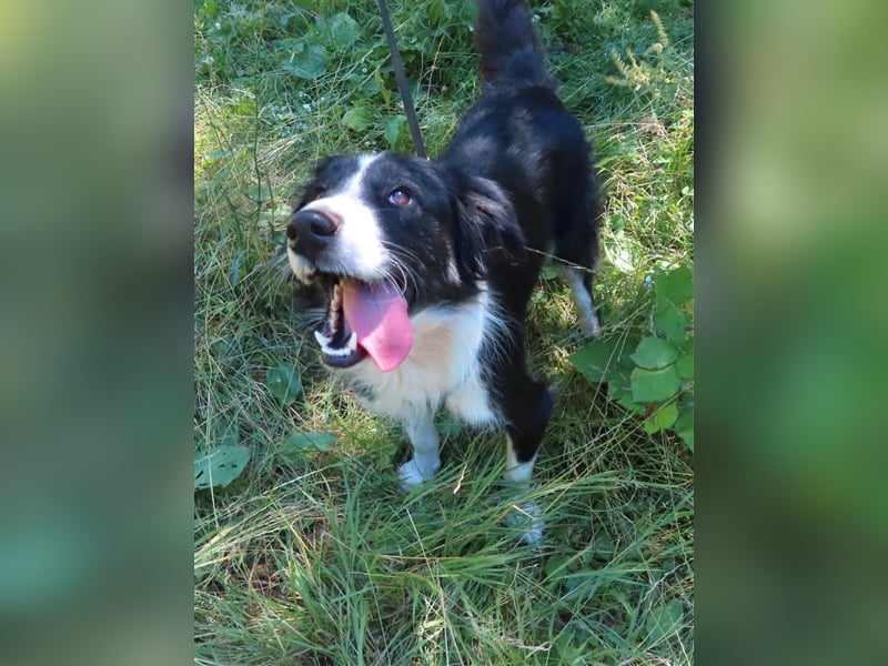 RON - sucht sein Ticket ins Glück