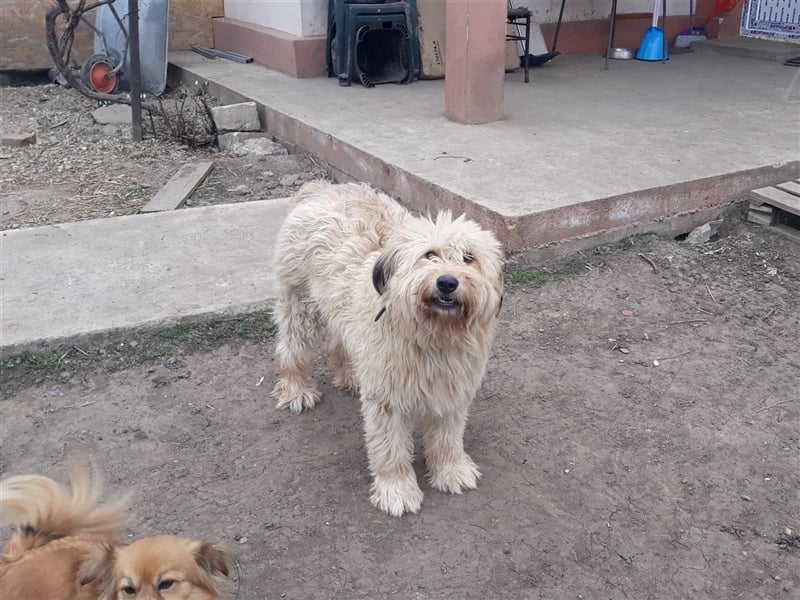 SANDRA - wo findet sie ihr Glück?