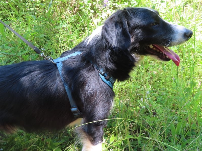 RON - sucht sein Ticket ins Glück