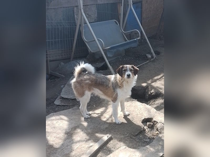 MILLY - ist bereit für ihr Abenteuer