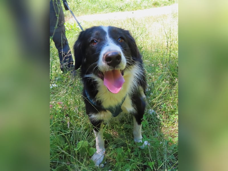 RON - sucht sein Ticket ins Glück