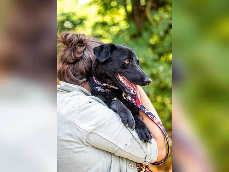 Cézár, fröhlicher Clown, ca. 5 Jahre, ca. 46 cm, ca. 16 kg
