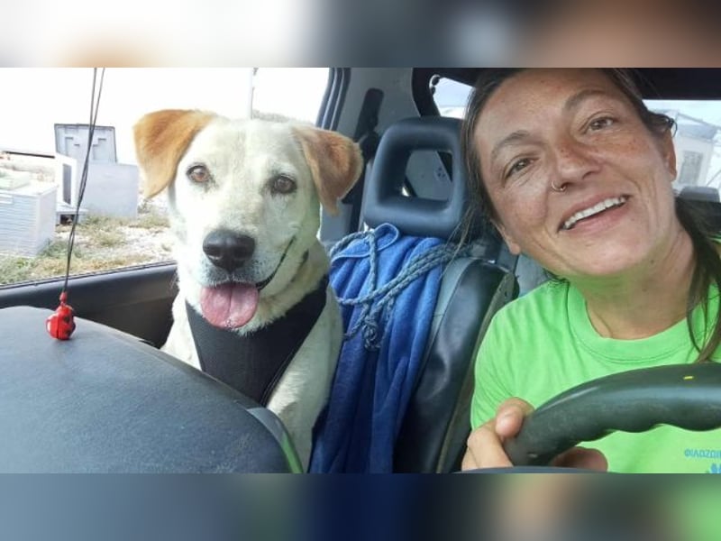 Opi Pepe, lieber Herzensmann, ca. 11 Jahre, ca. 52 cm, 21 kg *Gnadenplatz* *Dreibein*