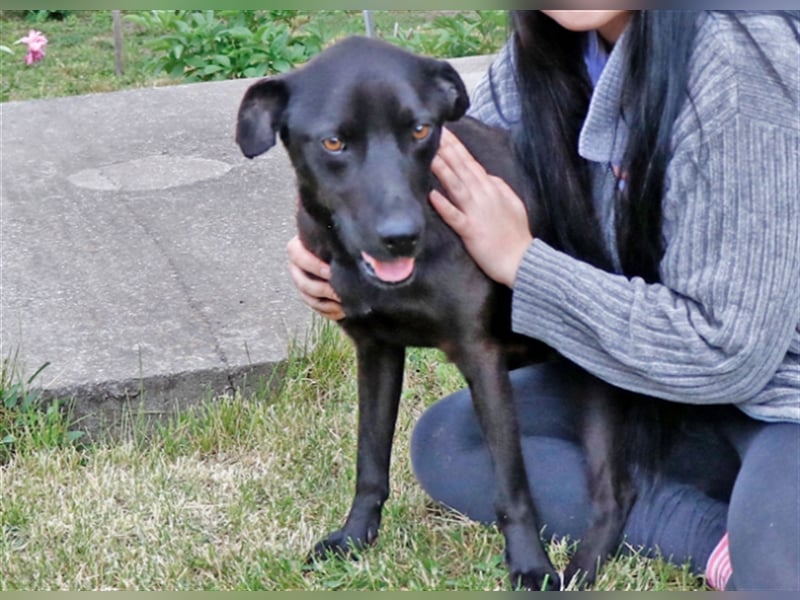 Cézár, fröhlicher Clown, ca. 5 Jahre, ca. 46 cm, ca. 16 kg