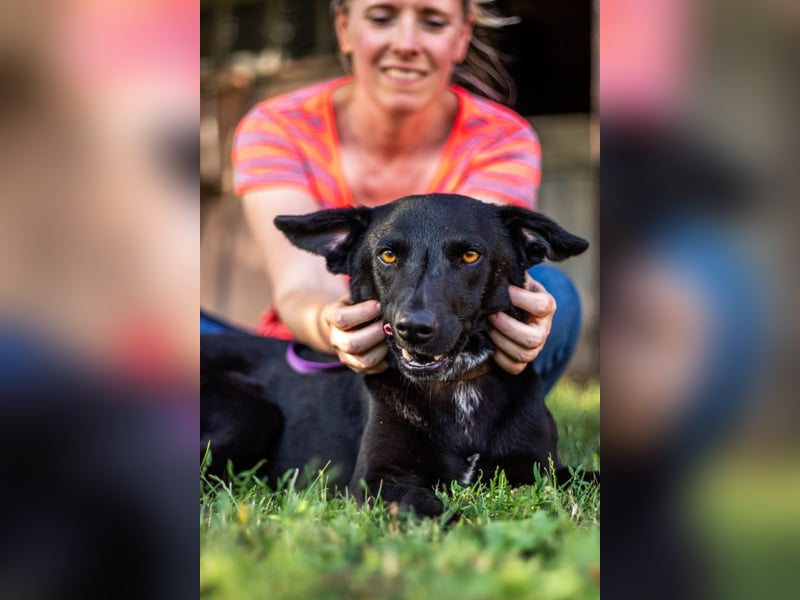 Cézár, fröhlicher Clown, ca. 5 Jahre, ca. 46 cm, ca. 16 kg