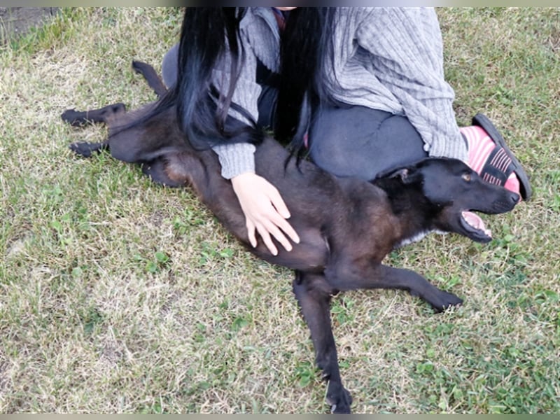 Cézár, fröhlicher Clown, ca. 5 Jahre, ca. 46 cm, ca. 16 kg