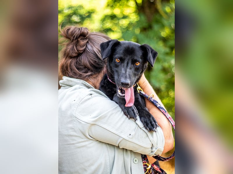 Cézár, fröhlicher Clown, ca. 5 Jahre, ca. 46 cm, ca. 16 kg