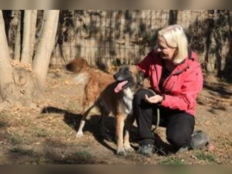 Cooper - wünscht sich eine Familie