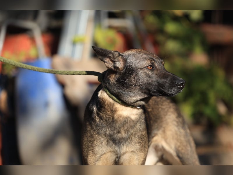 Anya, die Sensible Seele sucht einfühlsame Menschen