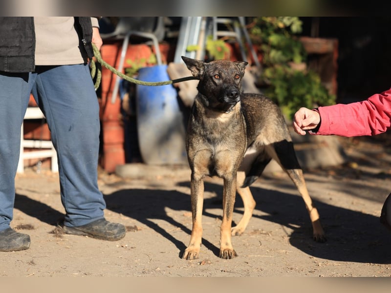 Anya, die Sensible Seele sucht einfühlsame Menschen